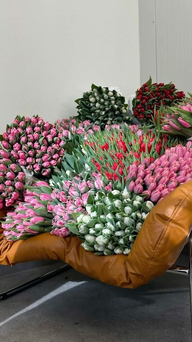 Тюльпаны оптом и в розницу