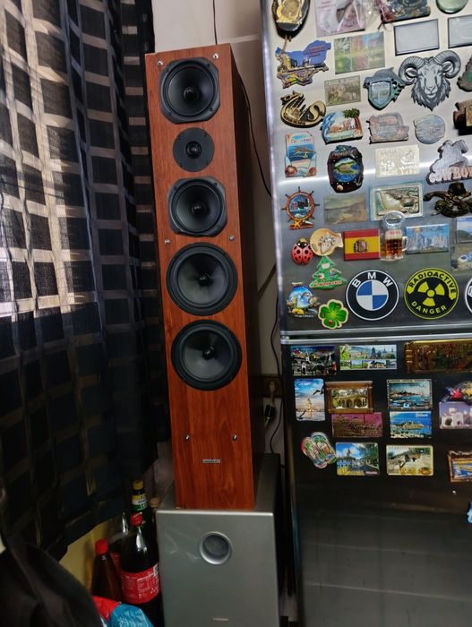 Dynavoice Challenger m-65