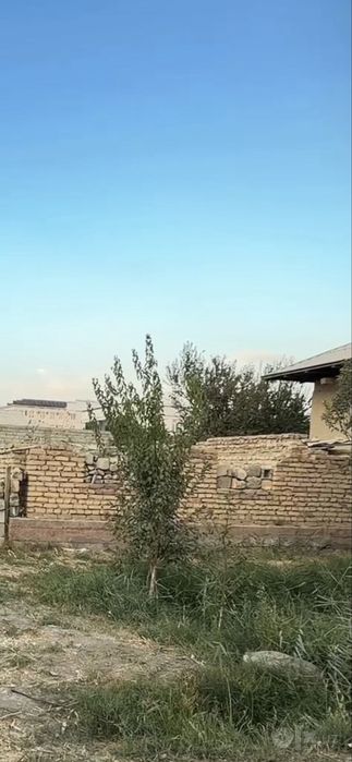 5 sotixli hovli sotiladi srochna navbahor tumani beshrabot sentrda