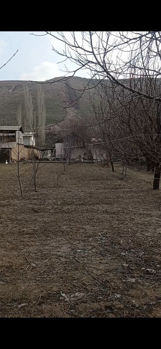 Uy sotiladi Gazalkent shahri