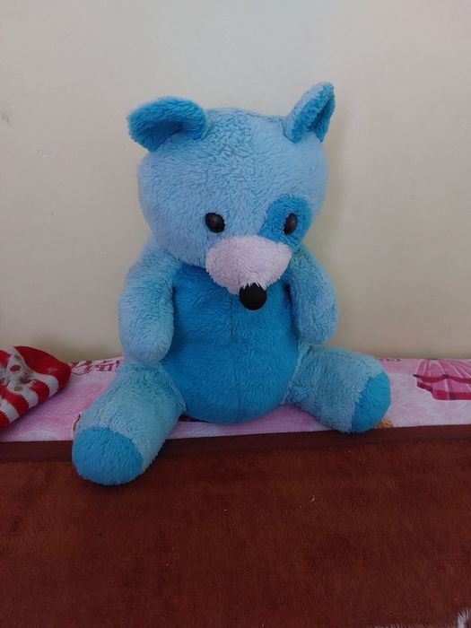 Vând urs de pluș  de 21 lei