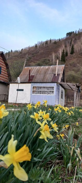 Продам дачу 20 соток
