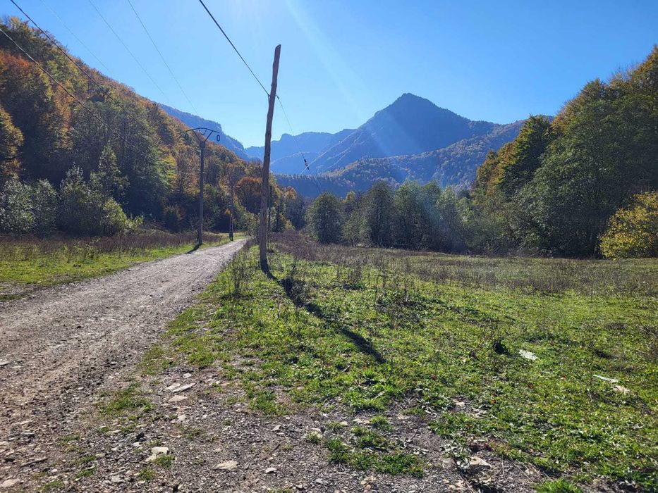 Teren intravilan Lepsa Strei Tulnici posibilitate lotizare