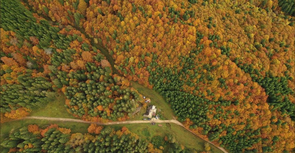 Izolat în Piatra Craiului