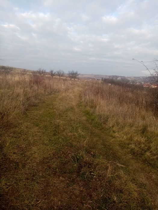 Vând terenuri extravilane