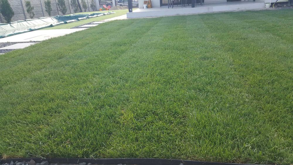 Gazon Rulou cu sau fara montaj