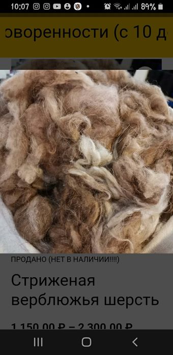 Ешкі жун кабылдаимиз