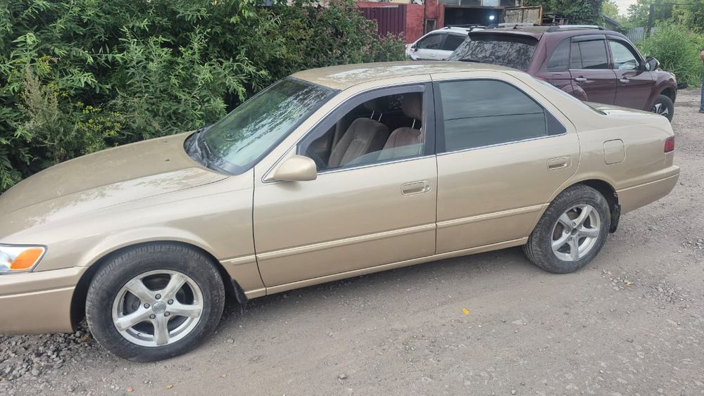 Продам живого Легенду