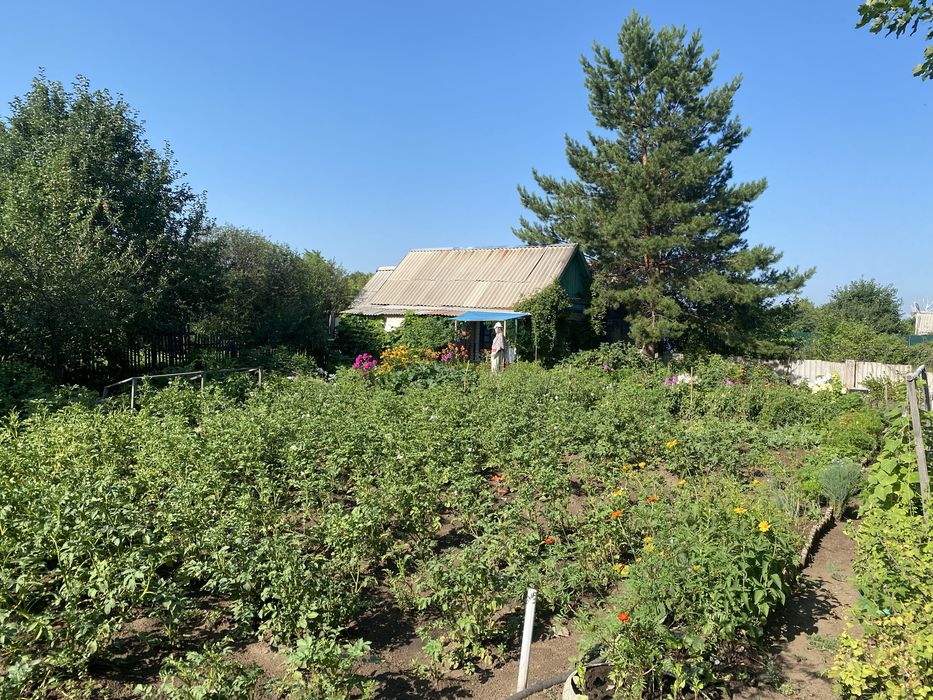 Продам Дачу сад Меллиоратор