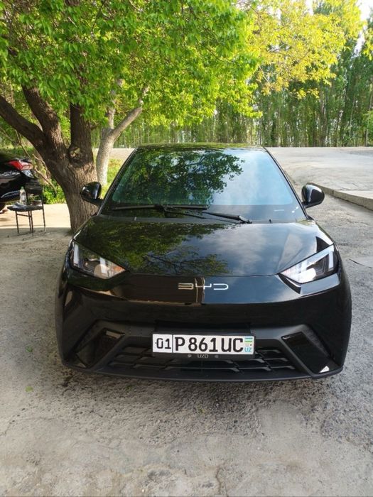 Seagull тозза сотилади