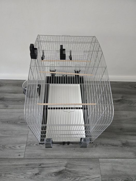 Cusca papagali spatioasa