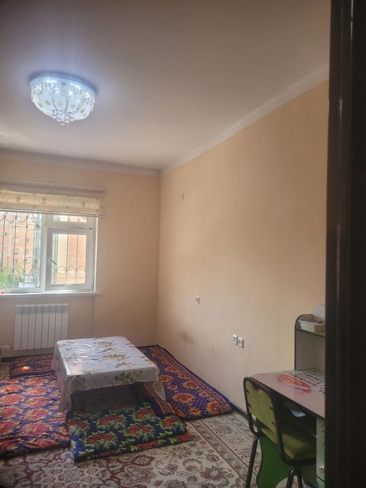 Янги хает 8 худуд