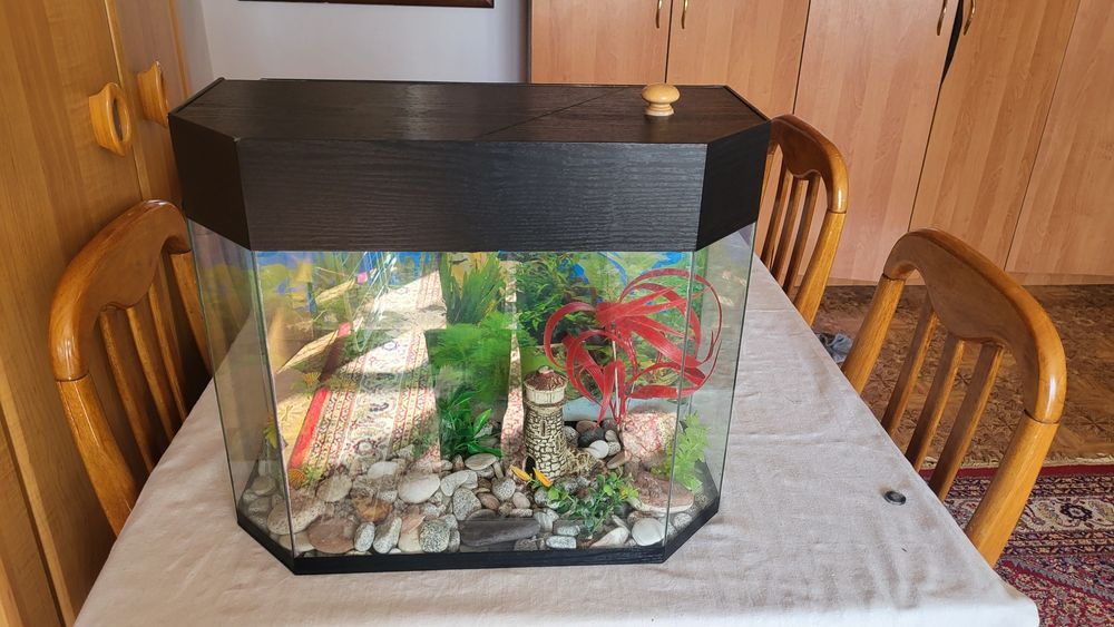 Аквариум на 10 литров
