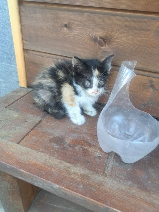 Замечательные малыши ищут свою семью где их будут любить