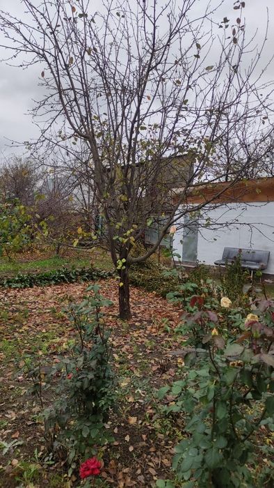 Продается дом со всеми условиями и с мебелью