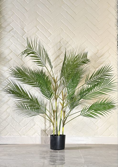 Искусственные  пальмы и диффенбахия