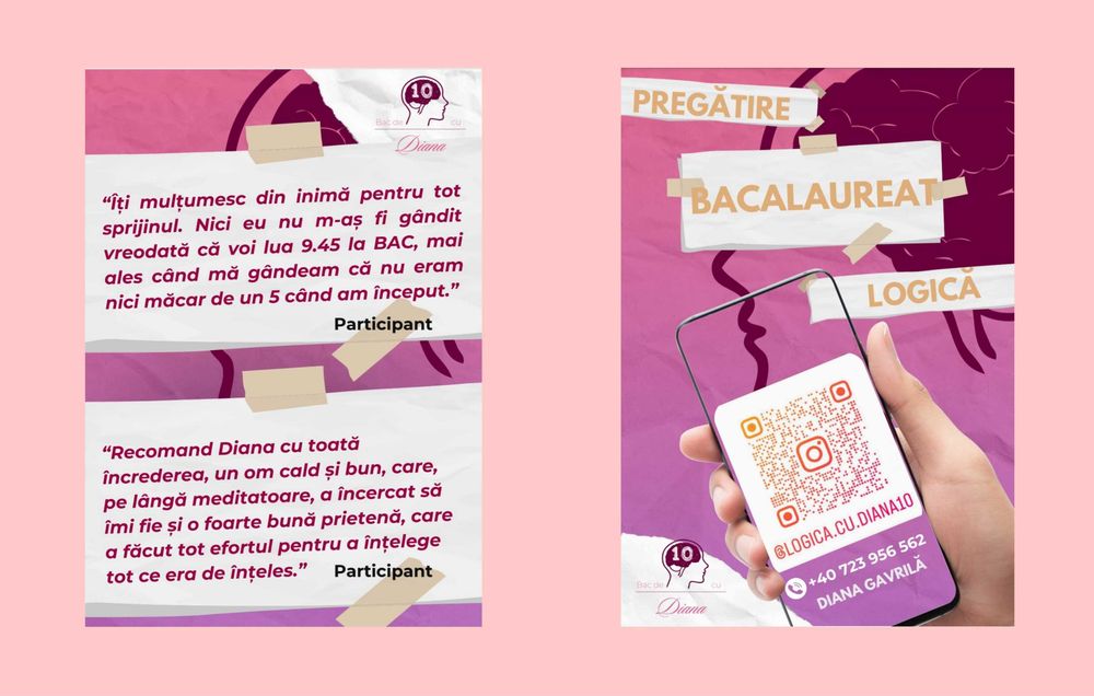 Meditatii logică bac