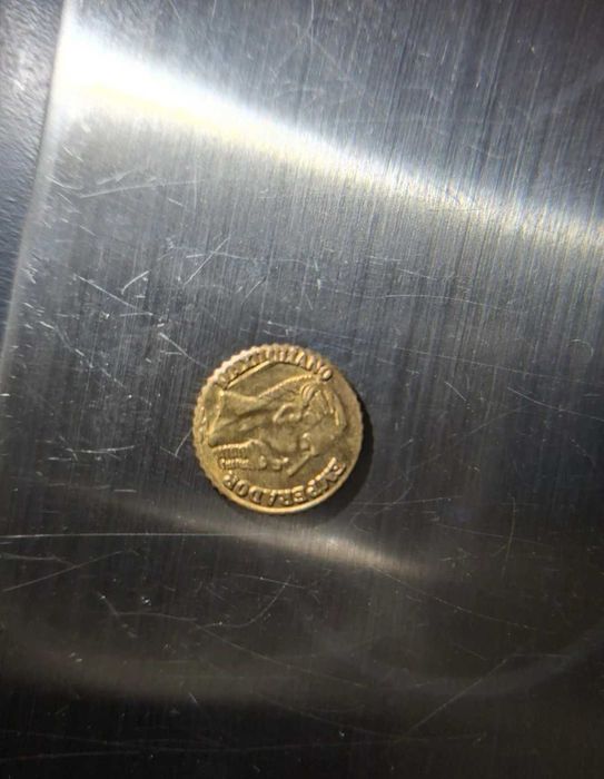 Monezi token cadou nunta maximilian