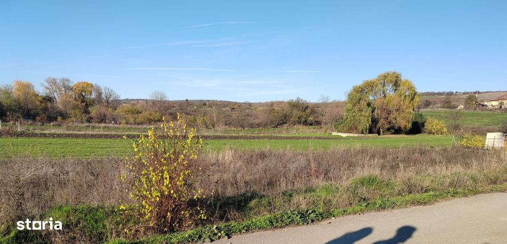 EXCLUSIVITATE -Teren Simnicul de Sus - 1000mp Intravilan