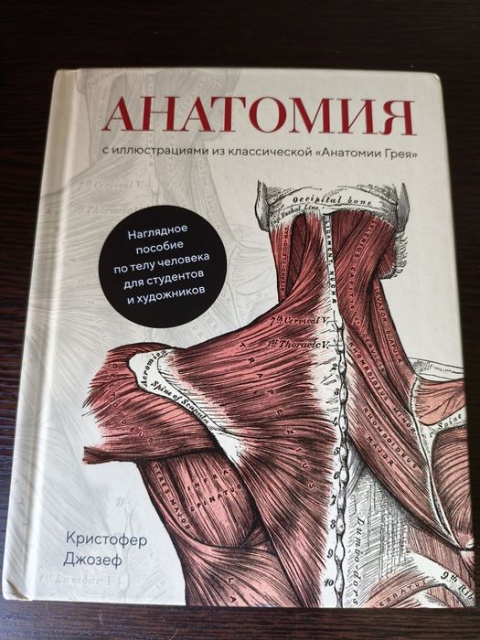 Книга по анатомии