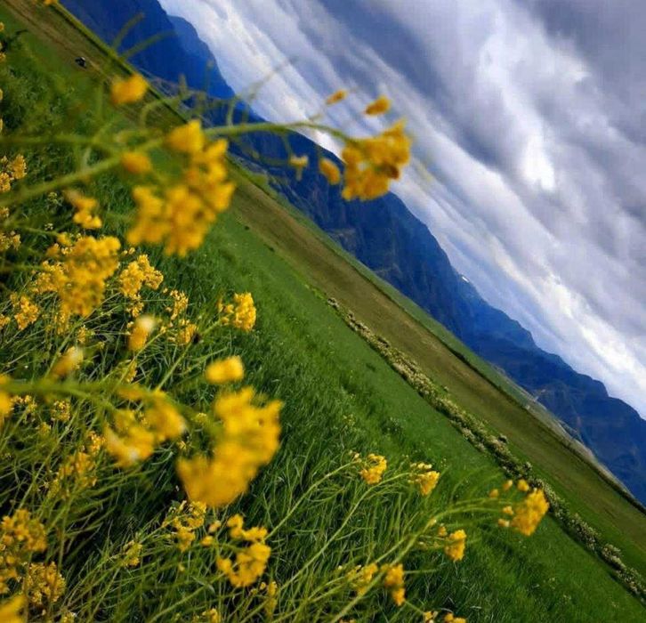 Продам мед со своей пасеки