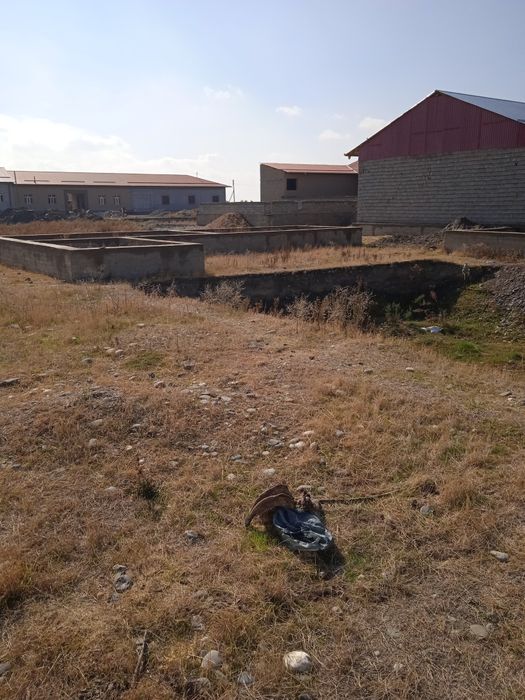 Uchaska sotiladi sayoxat Taraqiyot