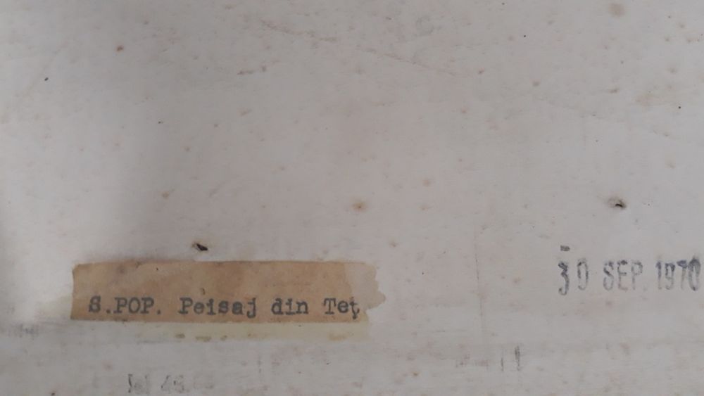 Tablou de colecție pictor SABIN POPP