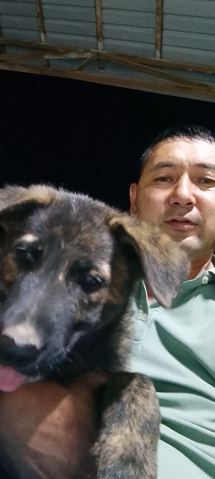 Сабаку харошие руки