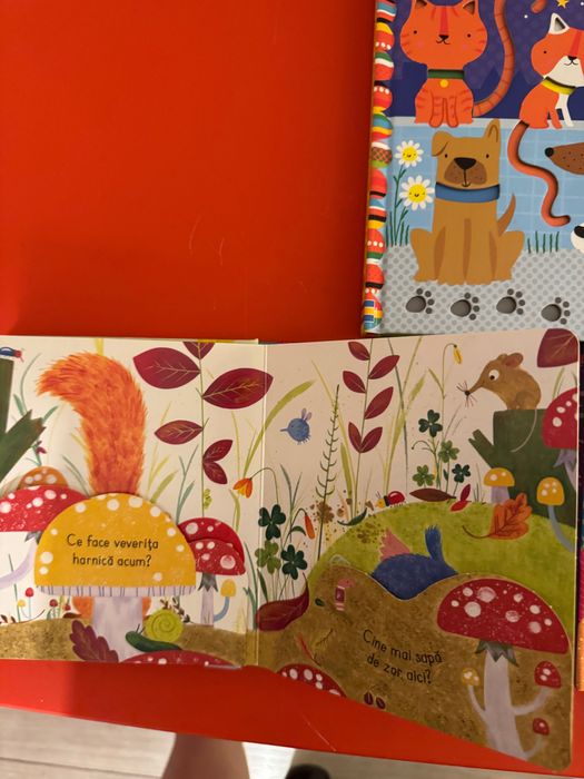 Lot carti Usborne slide and see si carti cu clapete