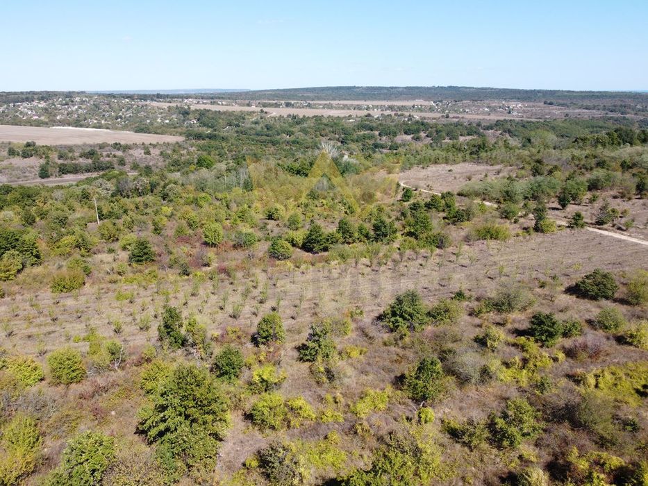 Продава се Парцел в с. Приселци, Област Варна - 11399 кв.м за 7 €/кв.м - Снимка #5