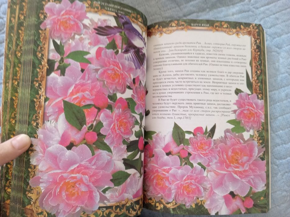 Книга книга книга