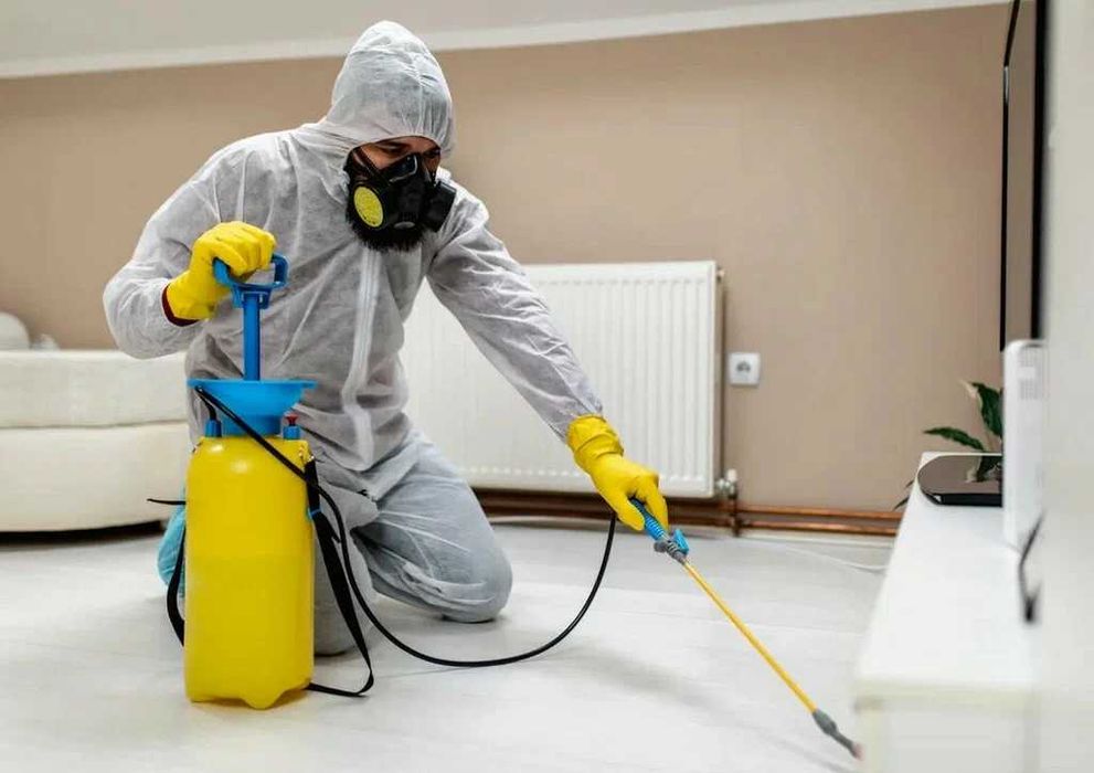 Dezinfeksiya Дезинфекция насекомых клопов  клапа klapa уничтожение обр