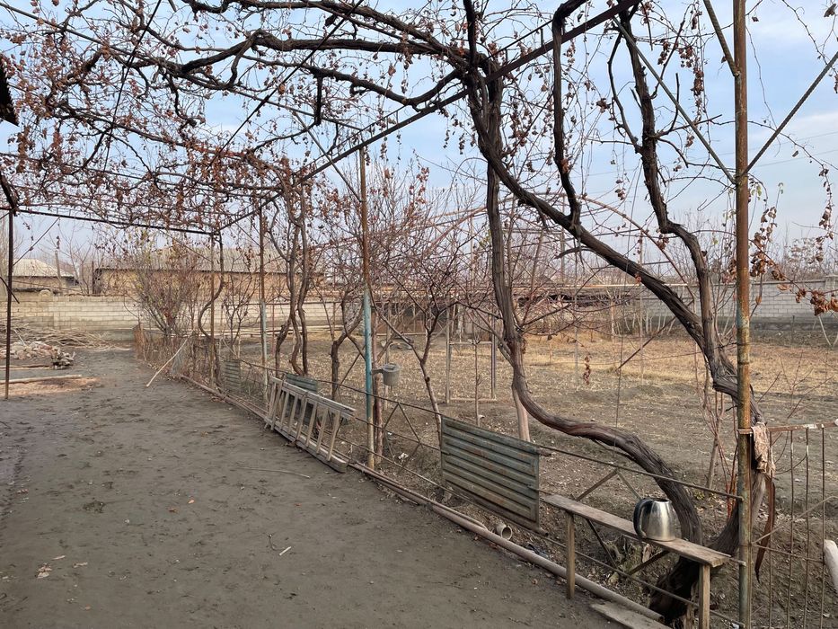 Окжарда ховлининг 10 сотих кисми сотилади.