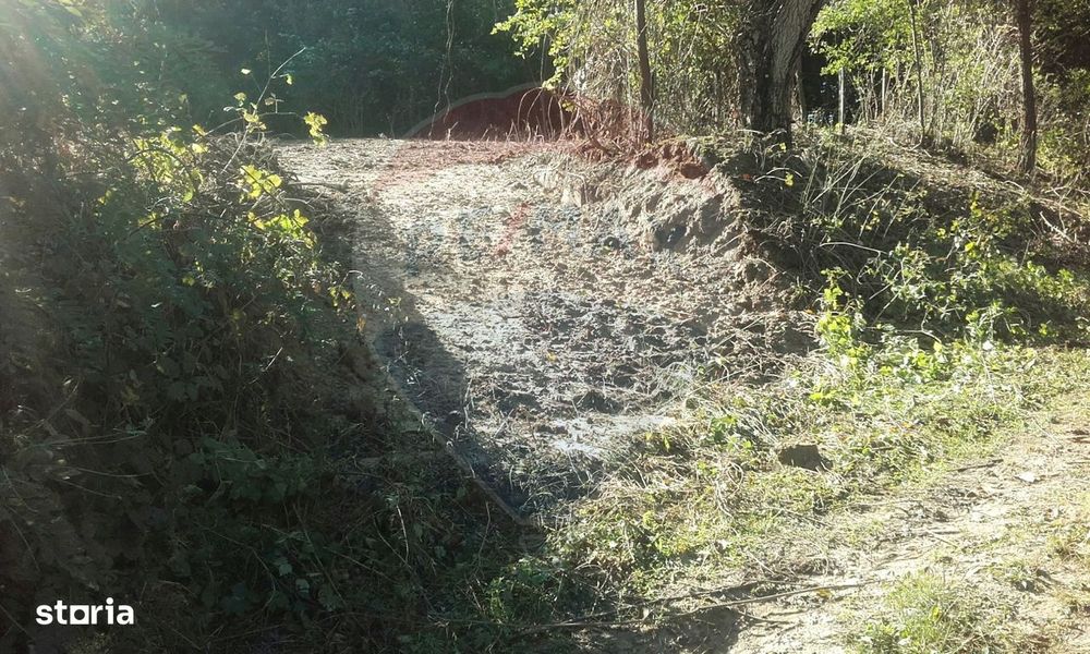 Teren 962.79mp Bujoreni / Strada Stejarului