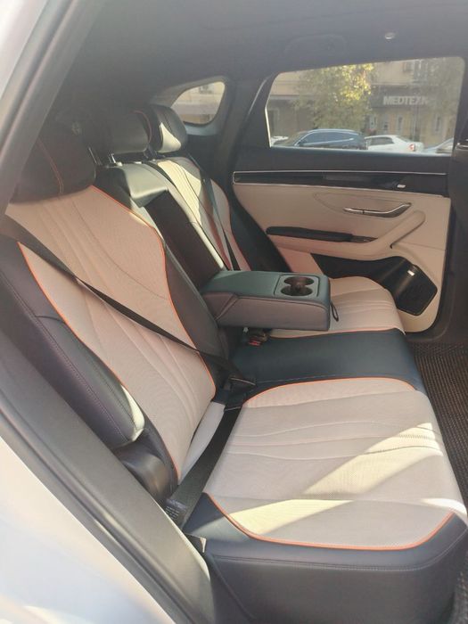 BYD Song Plus EV Champion2023 год