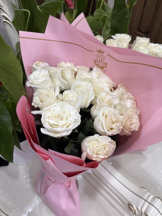 Цветы новые 18.03