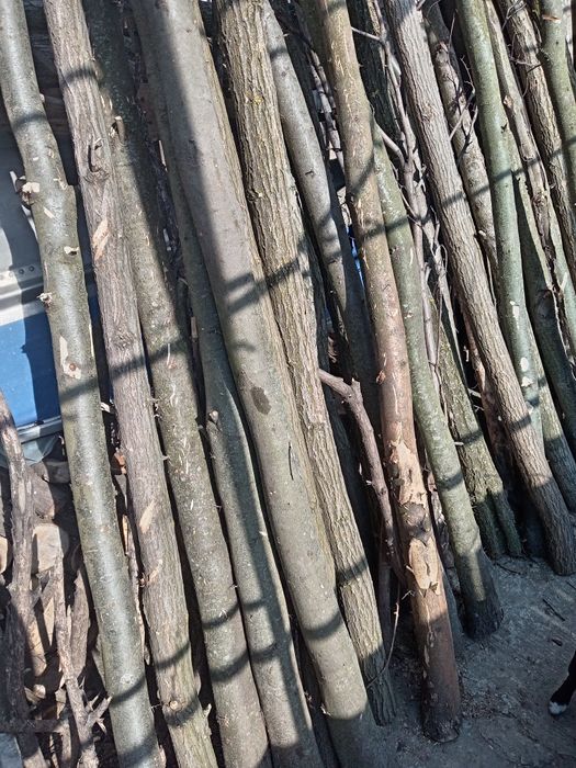 Vind stilpi (pari)de gard sau  alte constructii