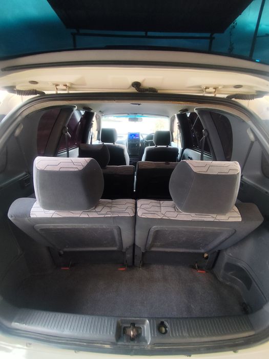 Tayota ipsum sotiladi