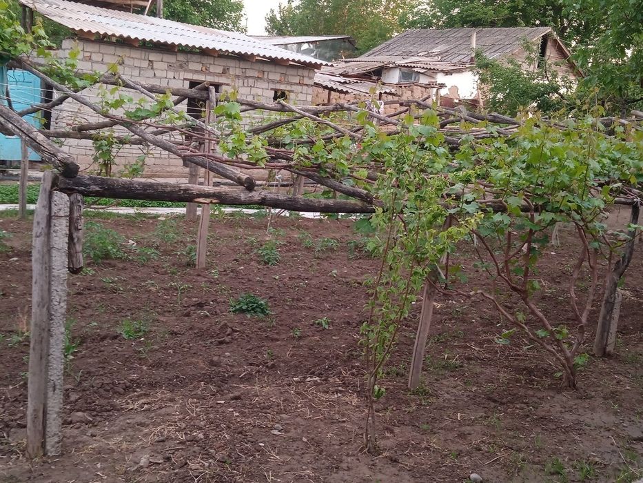 Uy sotladi прадайотса дом срочна