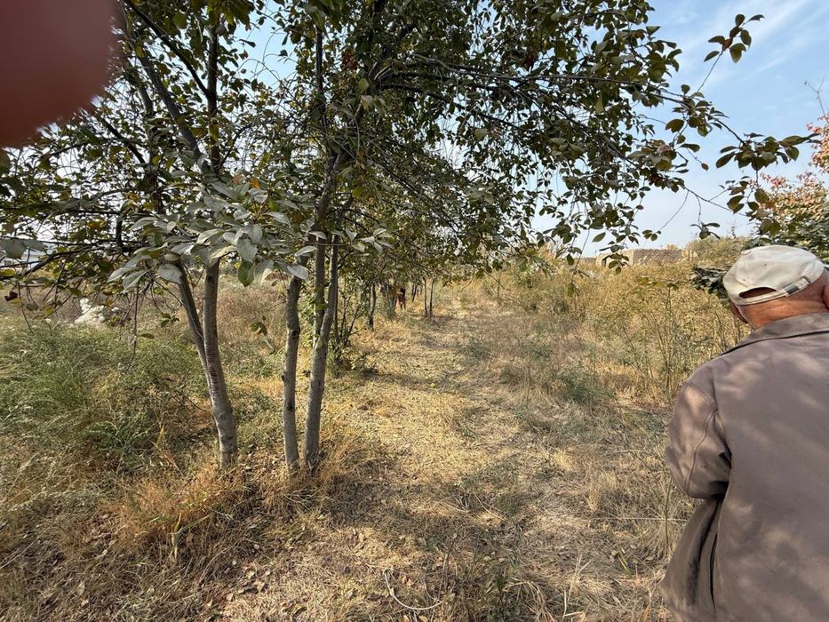 Sayxunobod tumani O’rikzor mahallasida 34 sotix yer sotiladi.