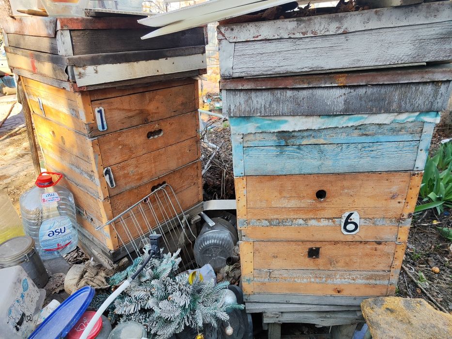 Продам улья Рута и дадан