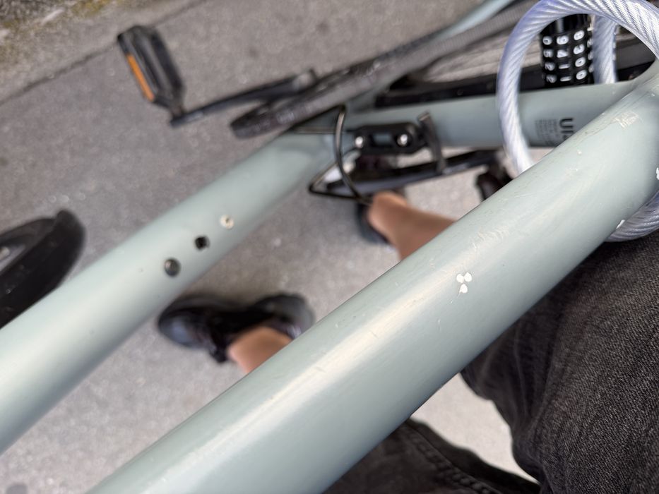 Canyon Urban AL 3 – M – Gates Carbon Drive – Shimano Nexus