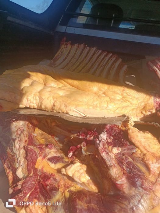 Семіз жылқының еті