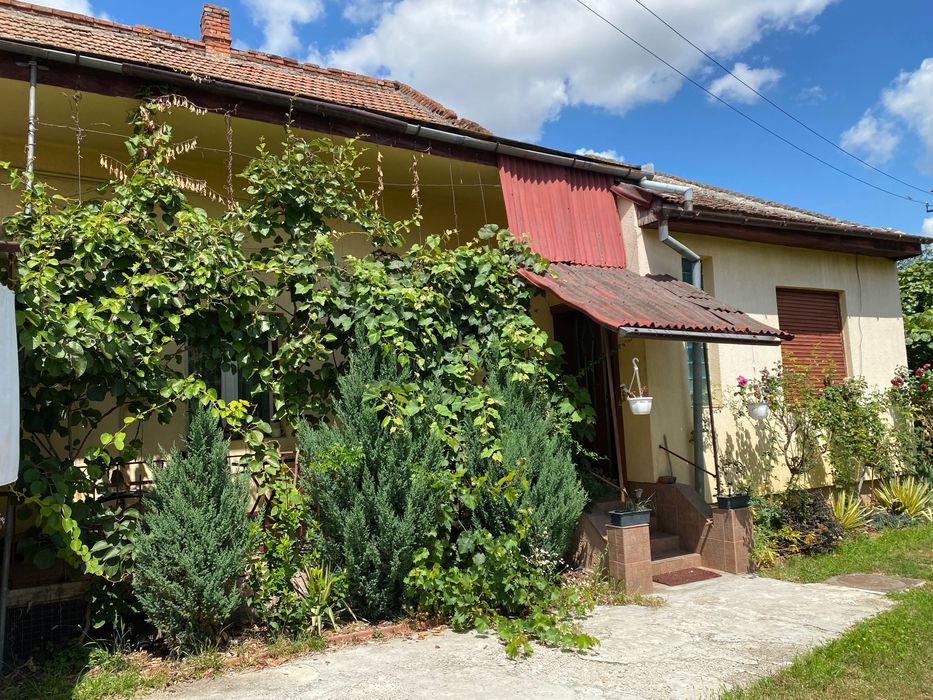 Casa de vanzare in Satu Mare, Str Zutphen.