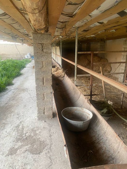 Таййор участка Сотилади!