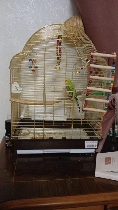 Продам попугая с клеткой