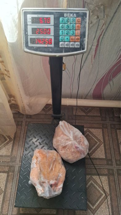 Продам курей 2500 за 1 кг