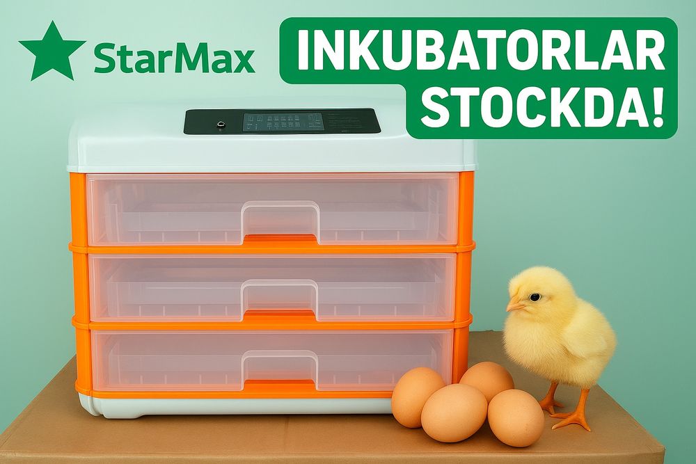 Инкубатор stocda