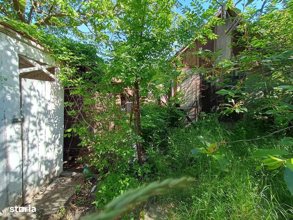 Vila din Gradina Racoți / Conac 5 camere / 6000m2