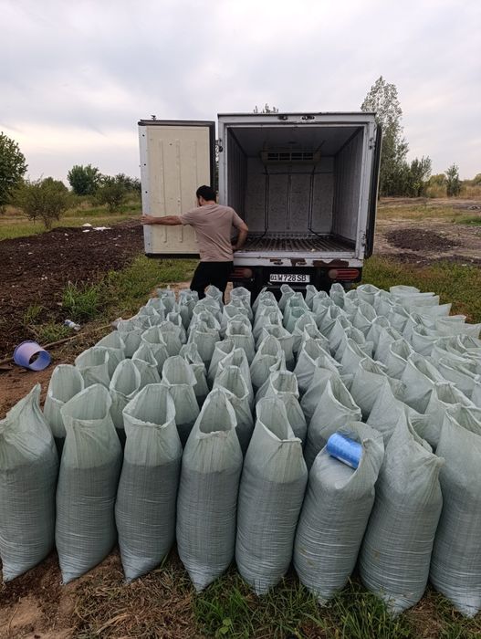 Bio gomus tabiy mahsulot